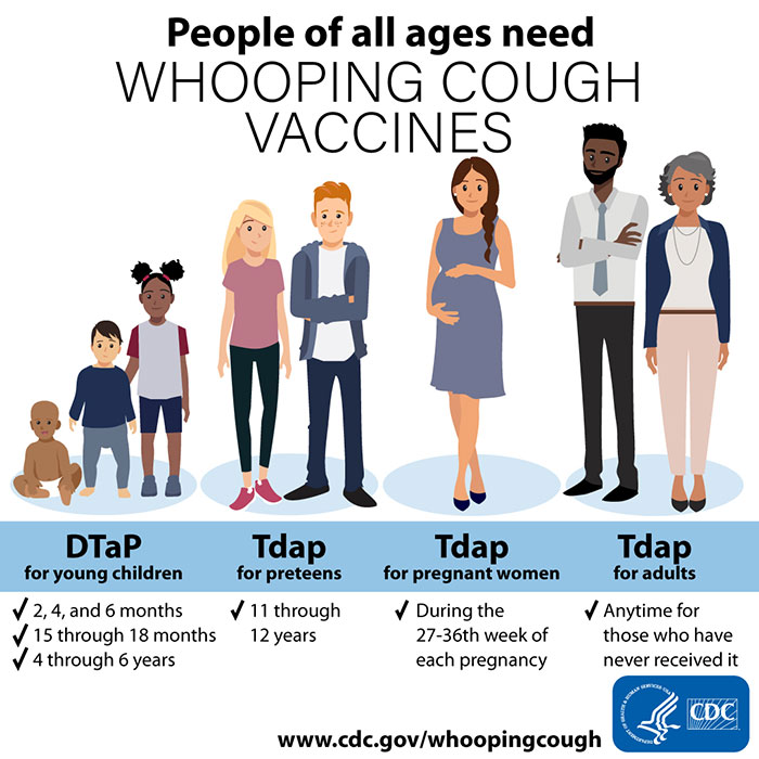 People of all ages need whooping cough vaccines (text version)

DTap for young children: 2, 4, and 6 months; 15 through 18 months; 4 through 6 years

Tdap for preteens: 11 through 12 years

Tdap for pregnant women: During the 27036th week of each pregnancy

Tdap for adults: anytime for those who have never received it

source:
www.cdc.gov/whoopingcough
